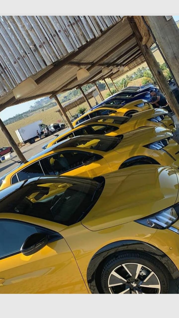 Imagens recebidas do vendedor do Haras Tuití